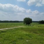 Property photo for land for sale in Garvin County Oklahoma