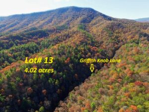 Property photo for land for sale in Wythe County Virginia