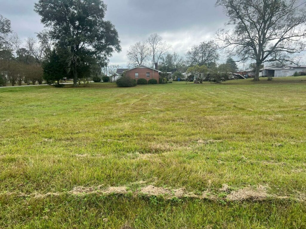 Property photo for land for sale in Crenshaw County Alabama