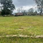 Property photo for land for sale in Crenshaw County Alabama