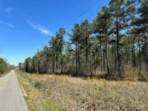 Property photo for land for sale in Lincoln County Arkansas