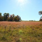 Property photo for land for sale in Metcalfe County Kentucky