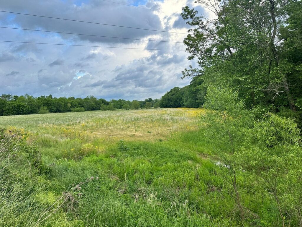 Property photo for land for sale in Barren County Kentucky