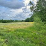 Property photo for land for sale in Barren County Kentucky