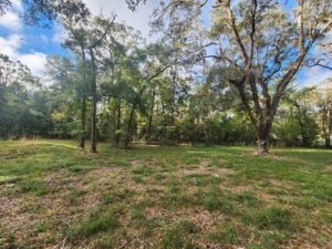 Property photo for land for sale in Columbia County Florida