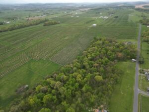 Property photo for land for sale in Shenandoah County Virginia