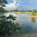 Property photo for land for sale in Coryell County Texas