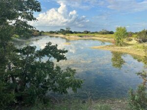 Property photo for land for sale in Coryell County Texas