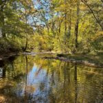 Property photo for land for sale in Lawrence County Tennessee