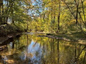 Property photo for land for sale in Lawrence County Tennessee