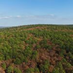 Property photo for land for sale in Latimer County Oklahoma