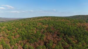 Property photo for land for sale in Latimer County Oklahoma