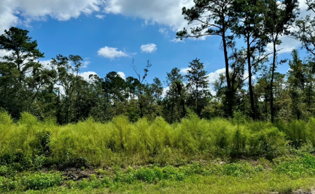 Property photo for land for sale in Hamilton County Florida