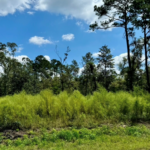 Property photo for land for sale in Hamilton County Florida