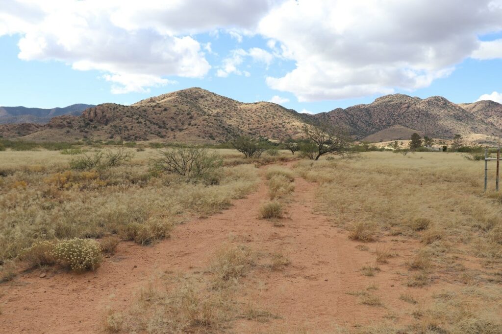 Property photo for land for sale in Cochise County Arizona