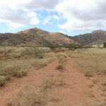 Property photo for land for sale in Cochise County Arizona