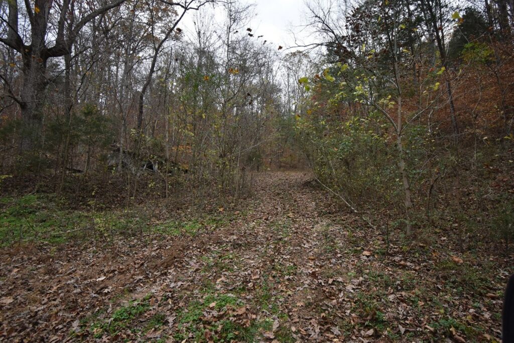 Property photo for land for sale in Perry County Tennessee