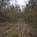 Property photo for land for sale in Perry County Tennessee