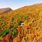 Property photo for land for sale in Bland County Virginia