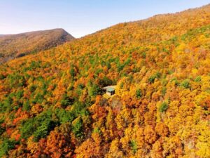 Property photo for land for sale in Bland County Virginia