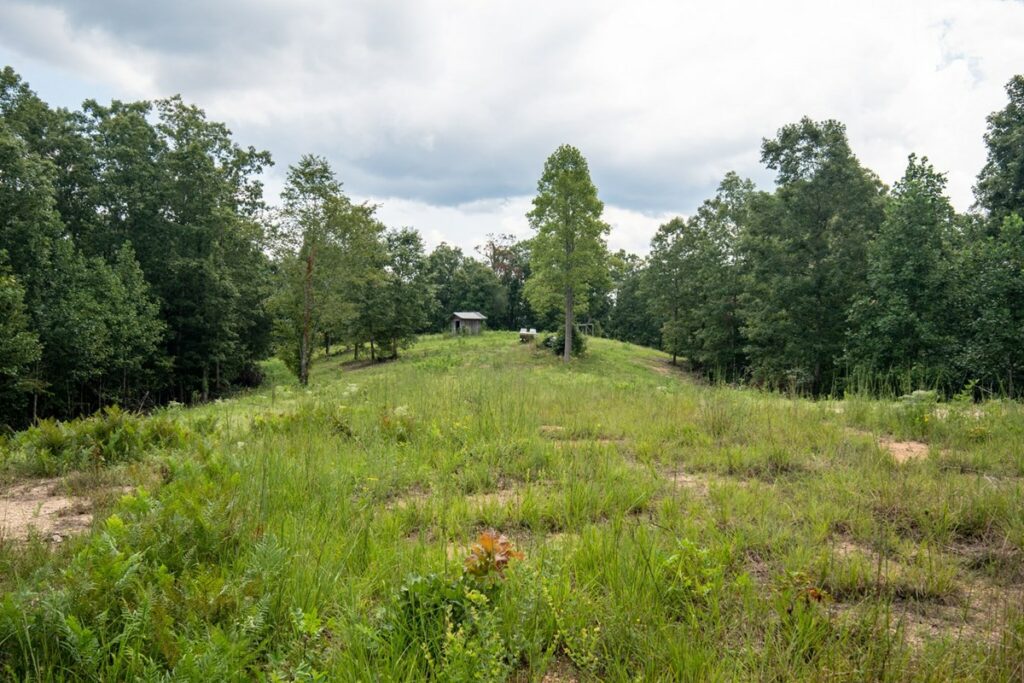 Property photo for land for sale in Lewis County Tennessee