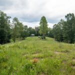 Property photo for land for sale in Lewis County Tennessee