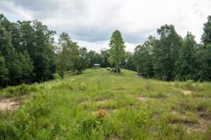 Property photo for land for sale in Lewis County Tennessee