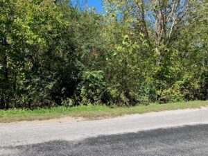 Property photo for land for sale in DeKalb County Tennessee