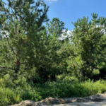 Property photo for land for sale in Hamilton County Florida