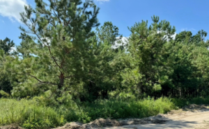 Property photo for land for sale in Hamilton County Florida