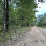 Property photo for land for sale in Bradley County Arkansas