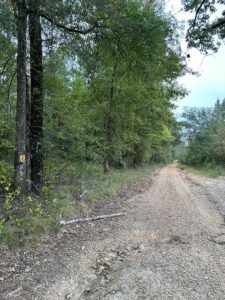 Property photo for land for sale in Bradley County Arkansas