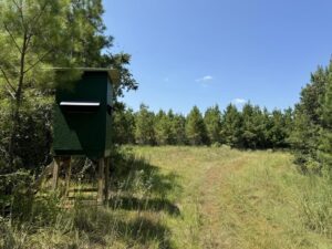 Property photo for land for sale in Lincoln County Mississippi