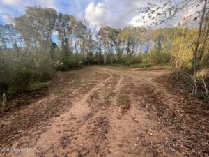 Property photo for land for sale in Hinds County Mississippi