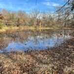 Property photo for land for sale in Van Buren County Iowa