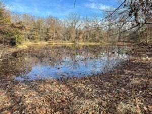 Property photo for land for sale in Van Buren County Iowa