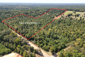 Property photo for land for sale in Cass County Texas