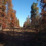 Property photo for land for sale in Shannon County Missouri