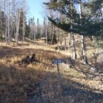 Property photo for land for sale in Park County Colorado