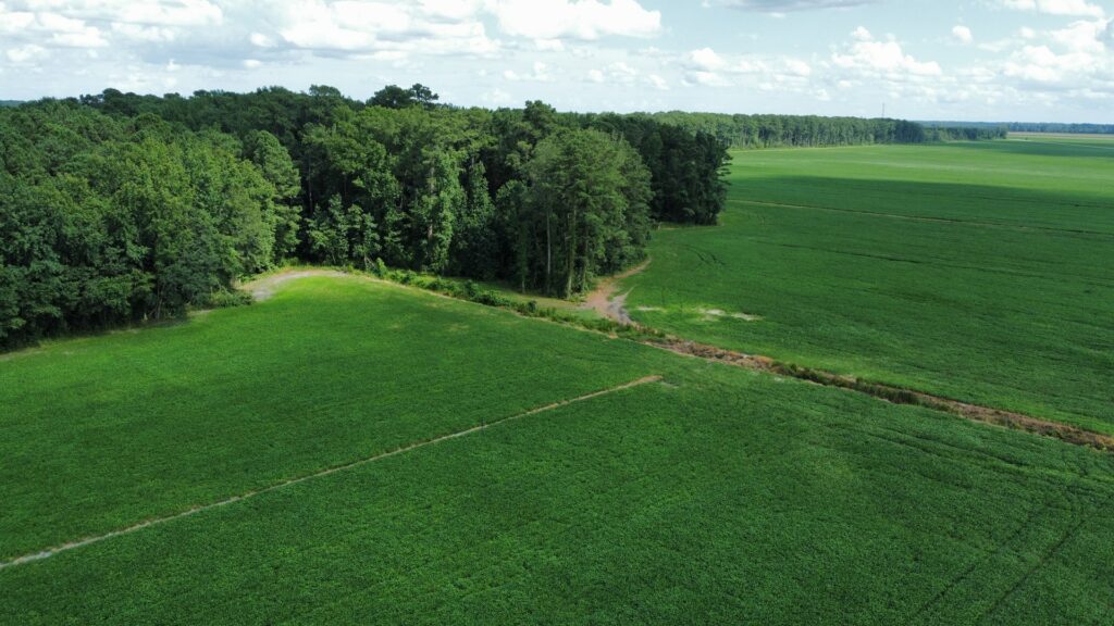 Photo of Historical Farmland Property