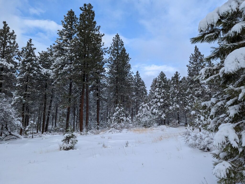 Property photo for land for sale in Harney County Oregon