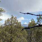 Property photo for land for sale in Rio Arriba County New Mexico