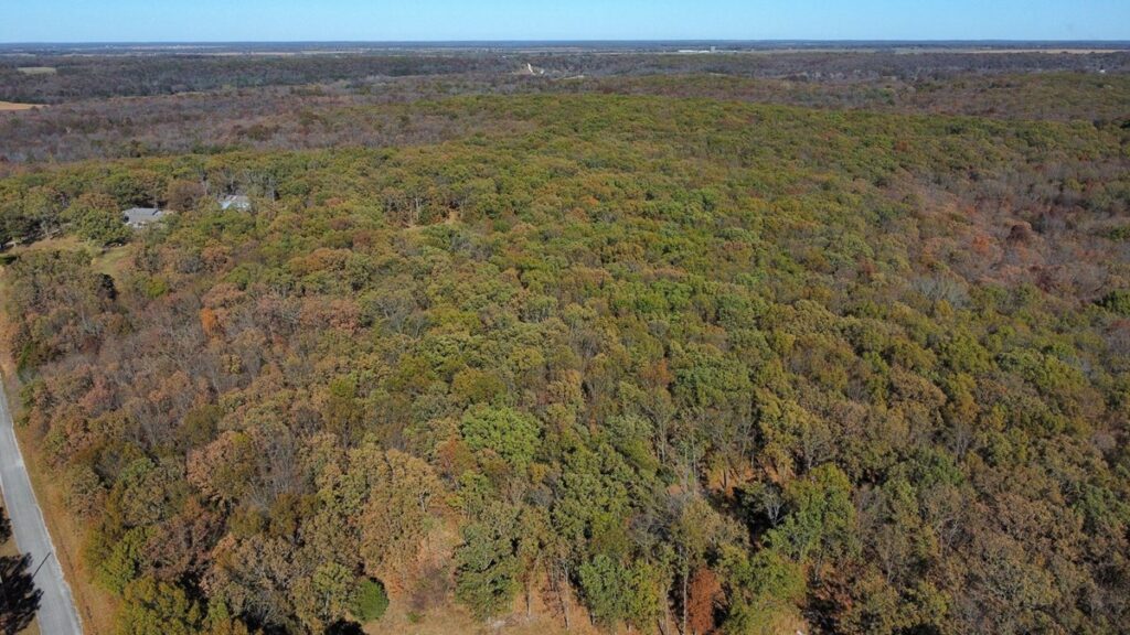 Property photo for land for sale in Polk County Missouri