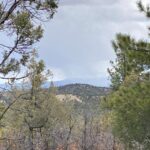 Property photo for land for sale in Rio Arriba County New Mexico