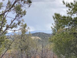 Property photo for land for sale in Rio Arriba County New Mexico