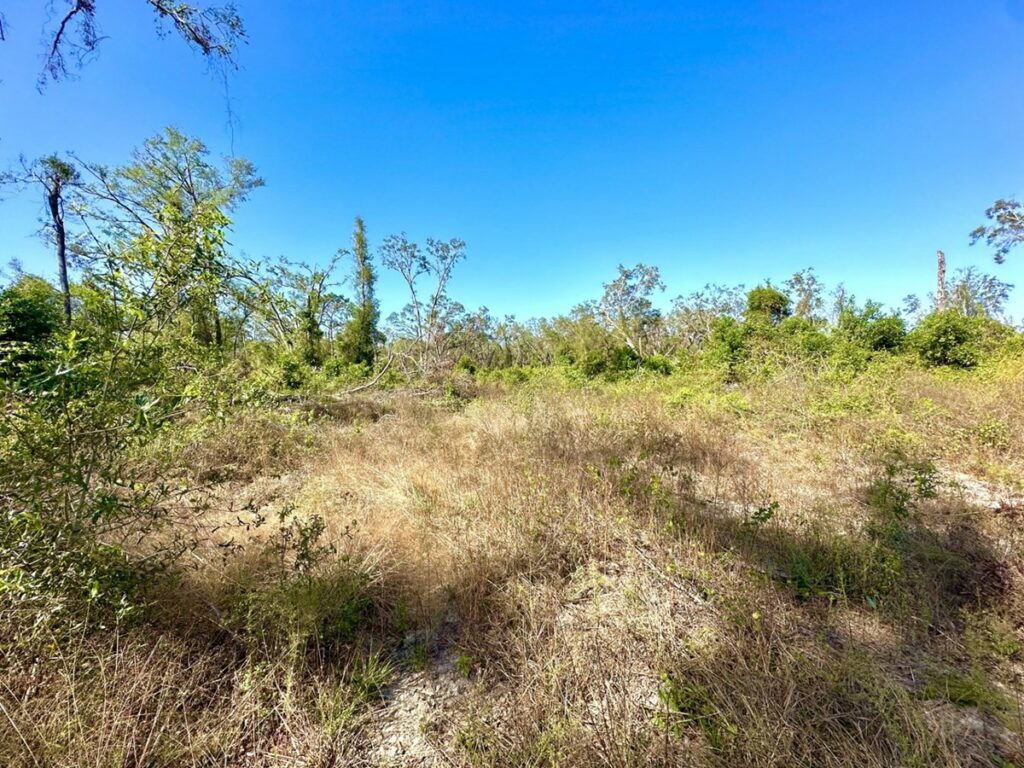 Property photo for land for sale in Lafayette County Florida