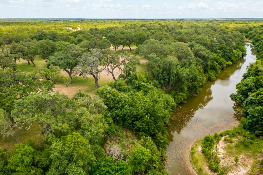 Overhead View of River and Trees