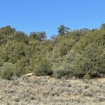 Property photo for land for sale in Rio Arriba County New Mexico