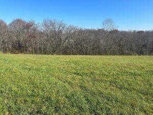 Property photo for land for sale in Casey County Kentucky