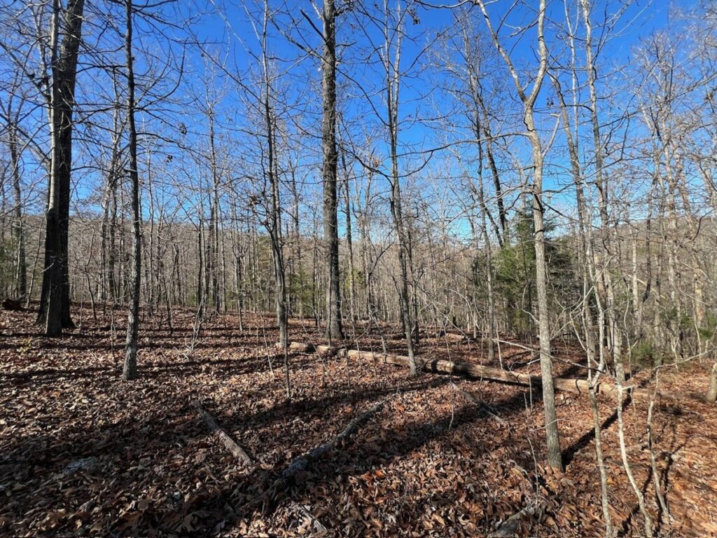 Property photo for land for sale in Fulton County Arkansas